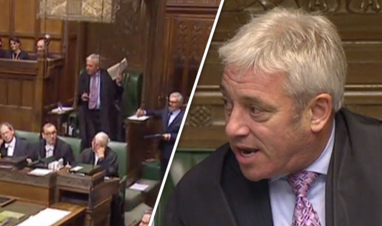 WATCH: John Bercow in furious tirade as 'discourteous' MPs try to DISRUPT Brexit debate